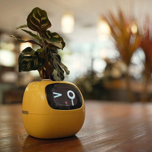 IVY – La plante intelligente qui prend soin d’elle-même 🌿